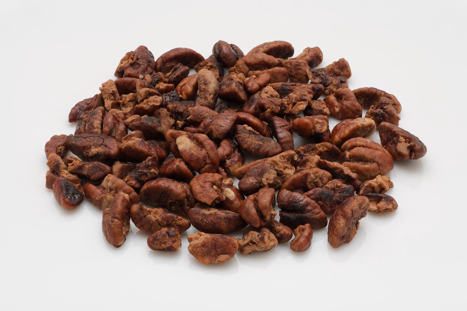 Carya cathayensis Sarg.