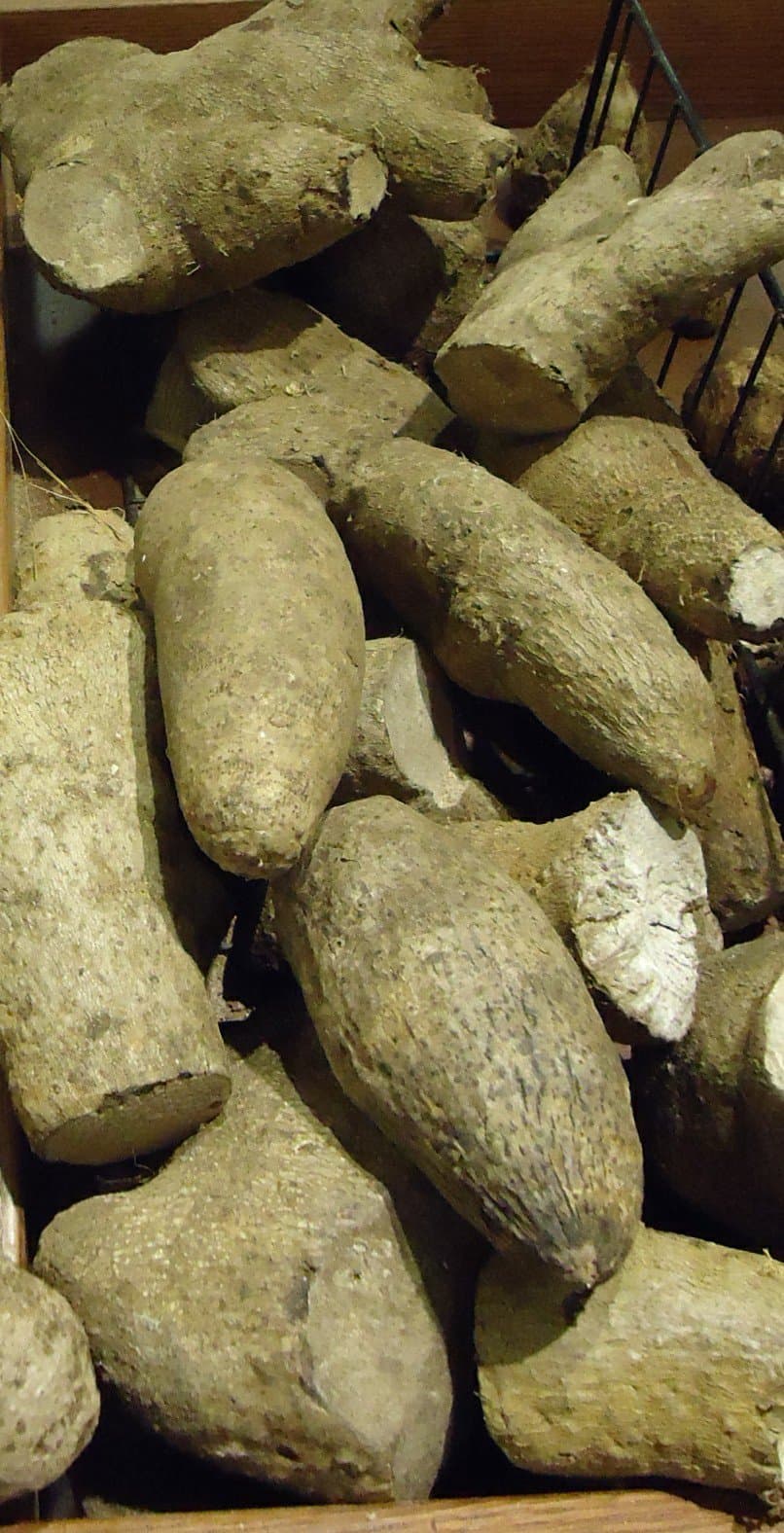 Dioscorea cayenensis Lam.