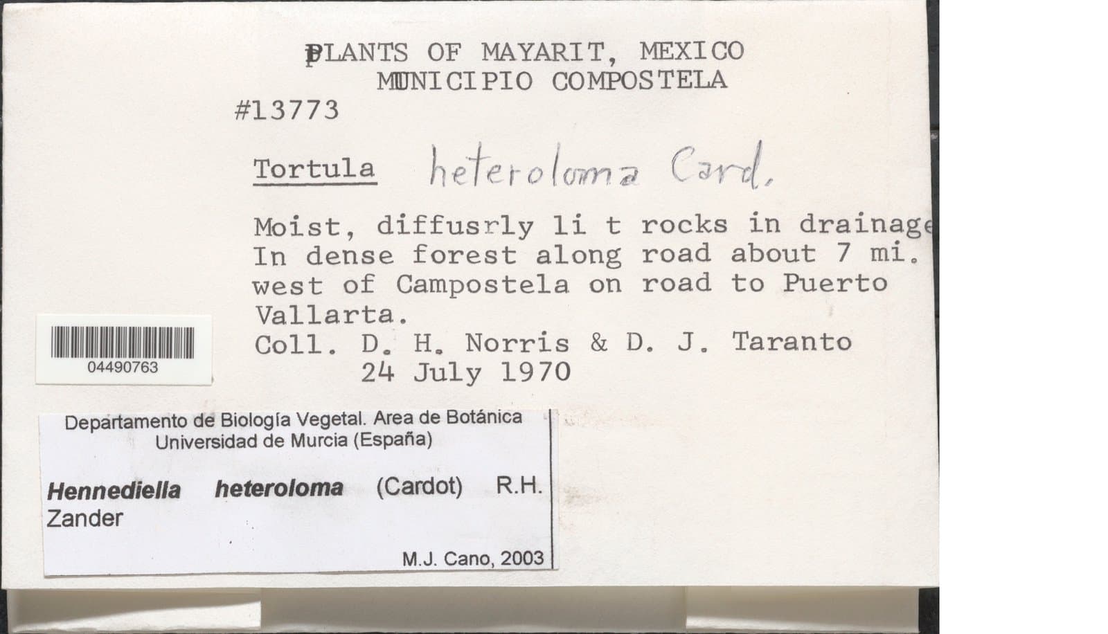 Hennediella heteroloma (Cardot) R.H.Zander