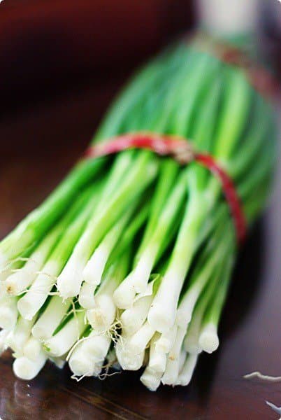 Allium fistulosum L.