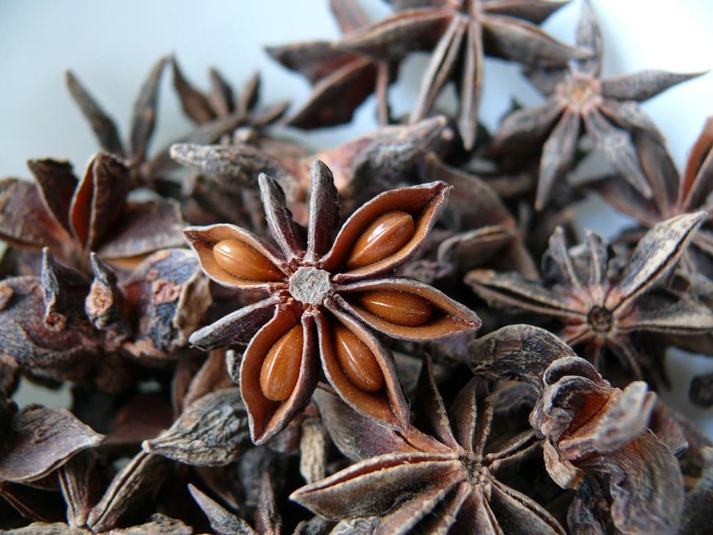 Illicium verum Hook.fil.