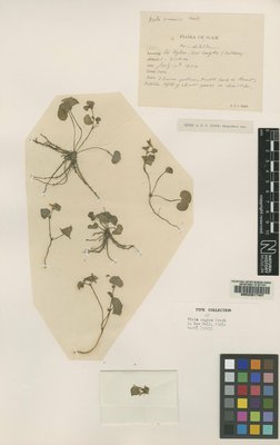 BM000617487