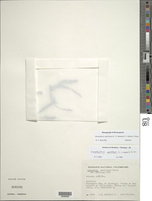 00998963.tif