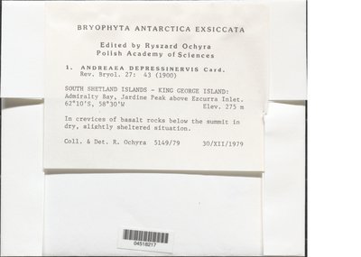 04518217.jpg