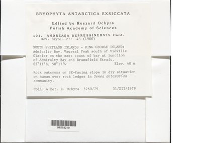 04518219.jpg