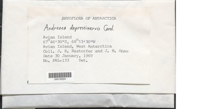 04518224.jpg