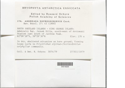 04518225.jpg