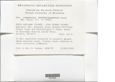 04518220.jpg