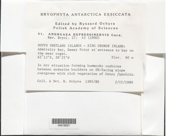 04518221.jpg