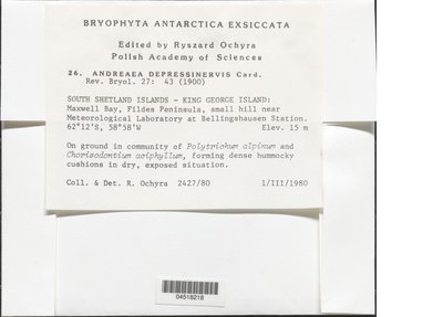 04518218.jpg