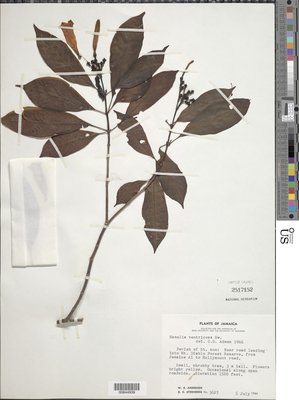 00844939.tif