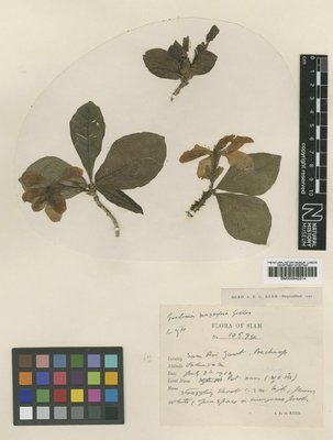 BM000945314