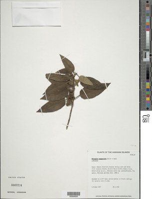 00584629.tif