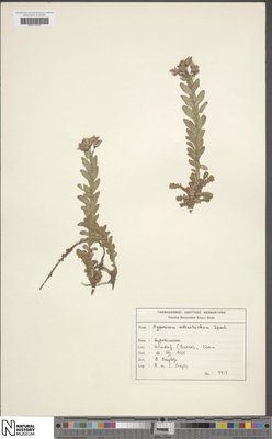 BM001202952