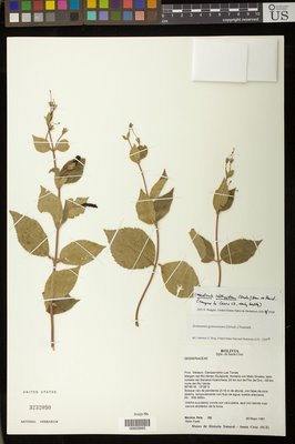 00909995.tif