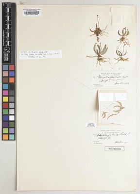 BM013767114