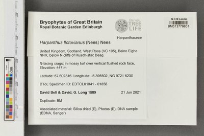 013779801