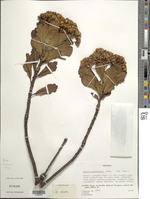 01220507.tif
