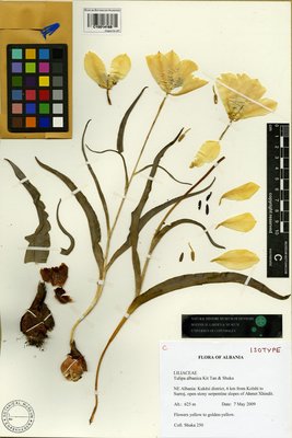 C10014169.jpg