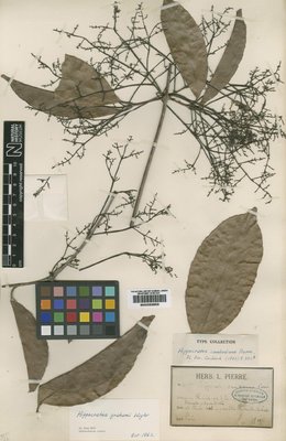 BM000838808