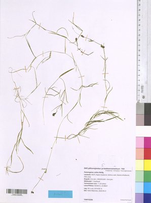 TAA0152256.tif