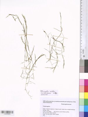 TAA0139470.tif