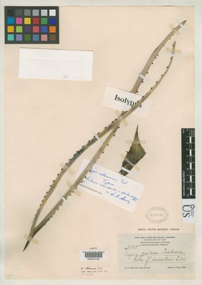 00092108.tif