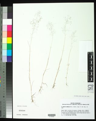 01109460.tif