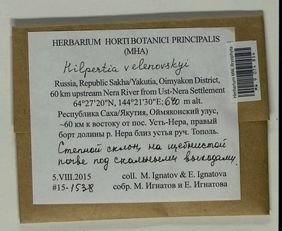 Hilpertia velenovskyi (Schiffn.) R.H. Zander, Moscow University Herbarium