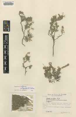 BM000078253