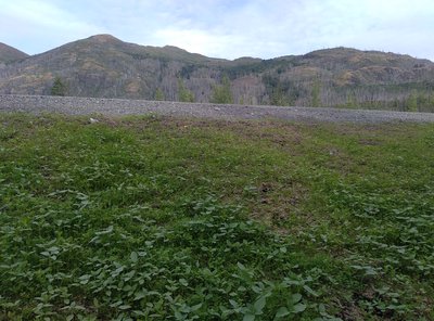 Site photograph for event ID 942bfcbd-8932-408b-bbff-894424fbe279 within H3 Hexagonal hierarchical geospatial indexing system cell having H3 index 8b0c55b9a291fff.