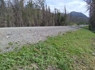 Site photograph for event ID 96bf6e20-42bc-45f4-81ba-a25c37b2dd4a within H3 Hexagonal hierarchical geospatial indexing system cell having H3 index 8b0c55b9a645fff.