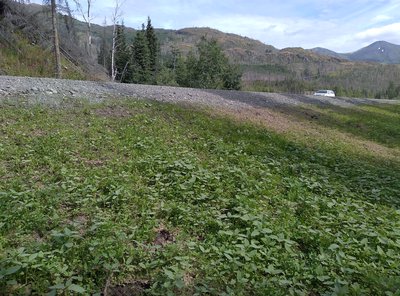Site photograph for event ID 4b7e42f7-b123-4b54-ab1c-c3b859d04eba within H3 Hexagonal hierarchical geospatial indexing system cell having H3 index 8b0c55b9a66dfff.
