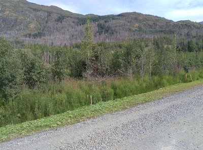 Site photograph for event ID bef61987-cf8c-4781-b547-d12261b2b3ac within H3 Hexagonal hierarchical geospatial indexing system cell having H3 index 8b0c55b9a282fff.