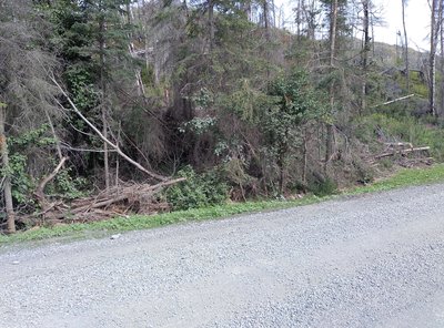 Site photograph for event ID bc521aa7-0618-4808-8a4c-4487d662a0c5 within H3 Hexagonal hierarchical geospatial indexing system cell having H3 index 8b0c55b9a66efff.