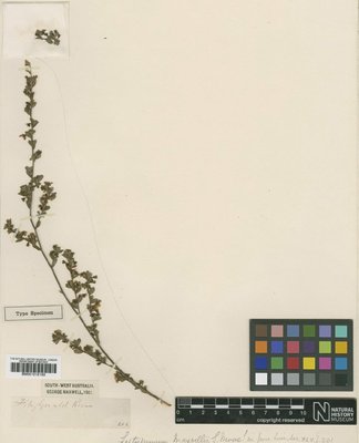 BM001015163