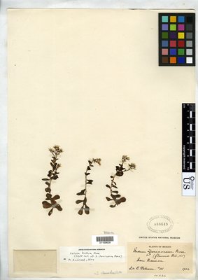 01100628.tif