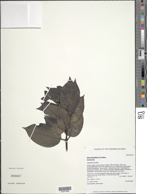 01077485.tif