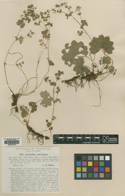 BM000750810
