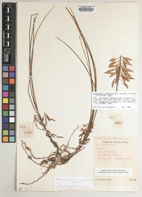 BM000539014