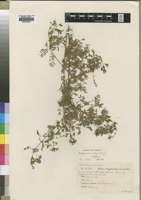 BM000842844