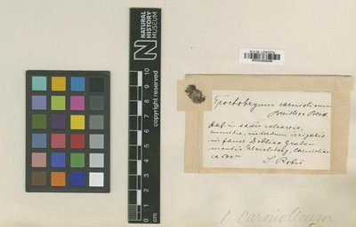 BM000965349