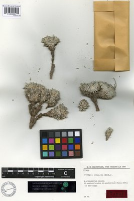 C10008850.jpg