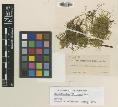 BM000964522