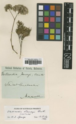 BM001015016