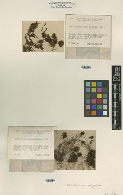 BM000982187_a