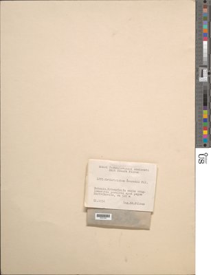 04421343.jpg