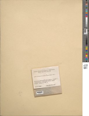 04421342.jpg
