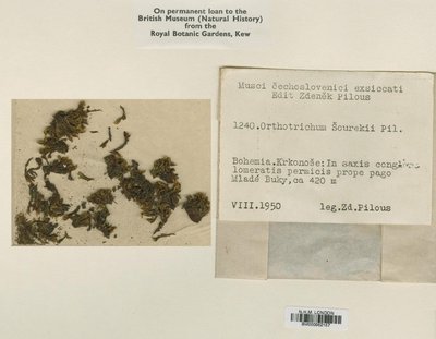 BM000982187