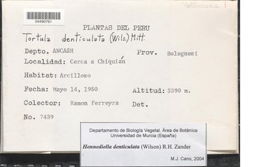 04490761.jpg